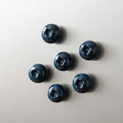 Polymer Clay Blueberry Magnets Set